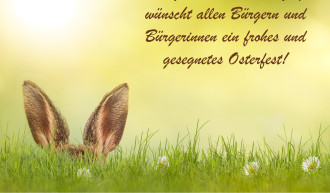 Wiese mit Gänseblümchen und Hasenohren